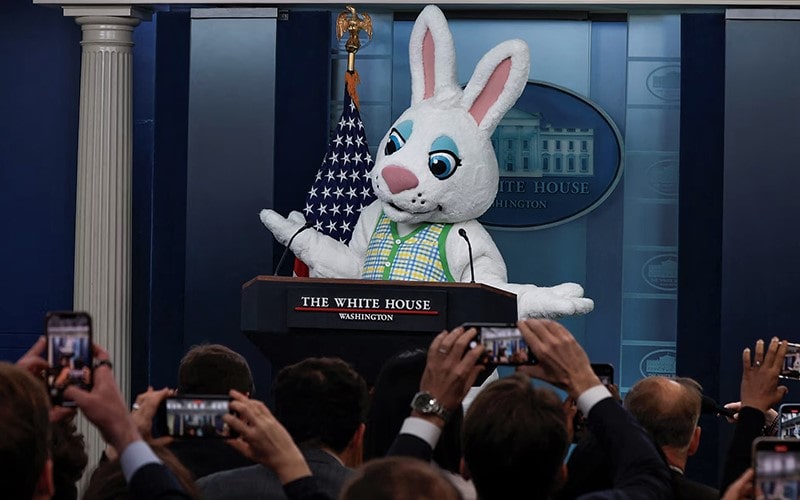 سخنگوی کاخ سفید در لباس خرگوش