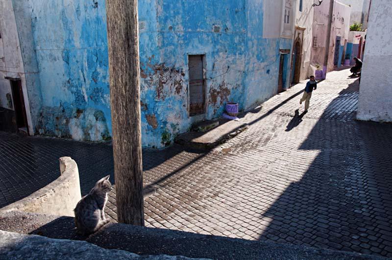 پسر نوجوان در کوچه ای آبی رنگ در مراکش