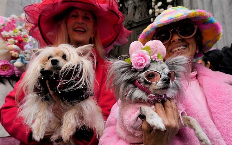 دو زن همراه با سگ‌هایشان در مراسم ایستر