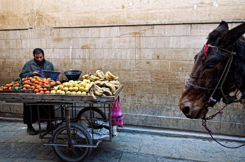 فروشنده دوره‌گرد مراکشی با چرخ میوه و سبزی