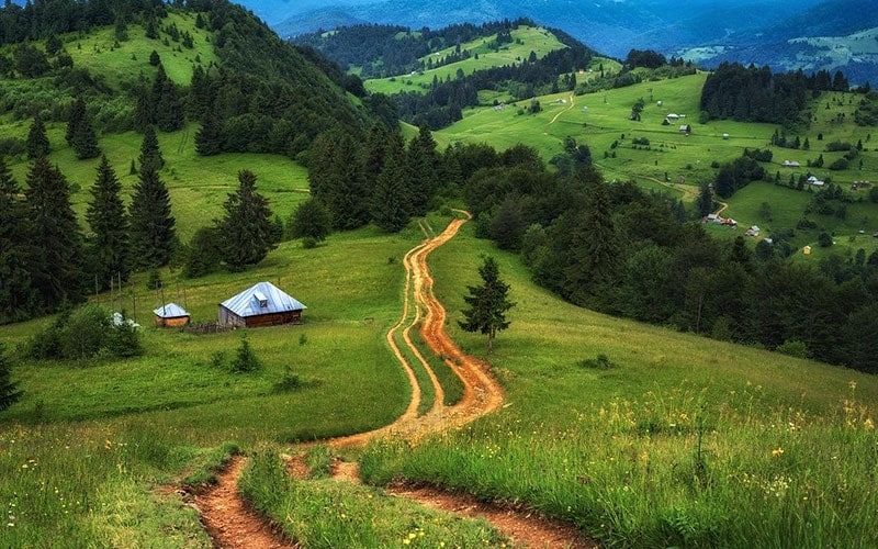 جاده کوهستانی سرسبز در رومانی، منبع عکس: اینستاگرام alexrobciuc@، عکاس: Alex Robciuc