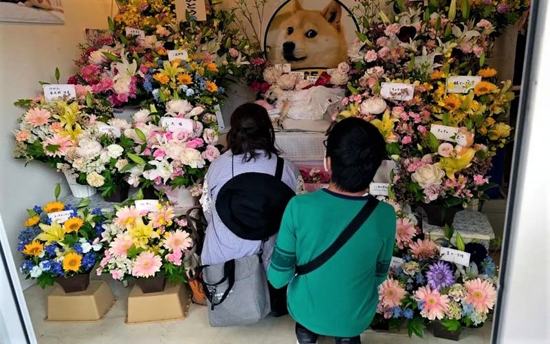 ادای احترام به یک سگ در ژاپن