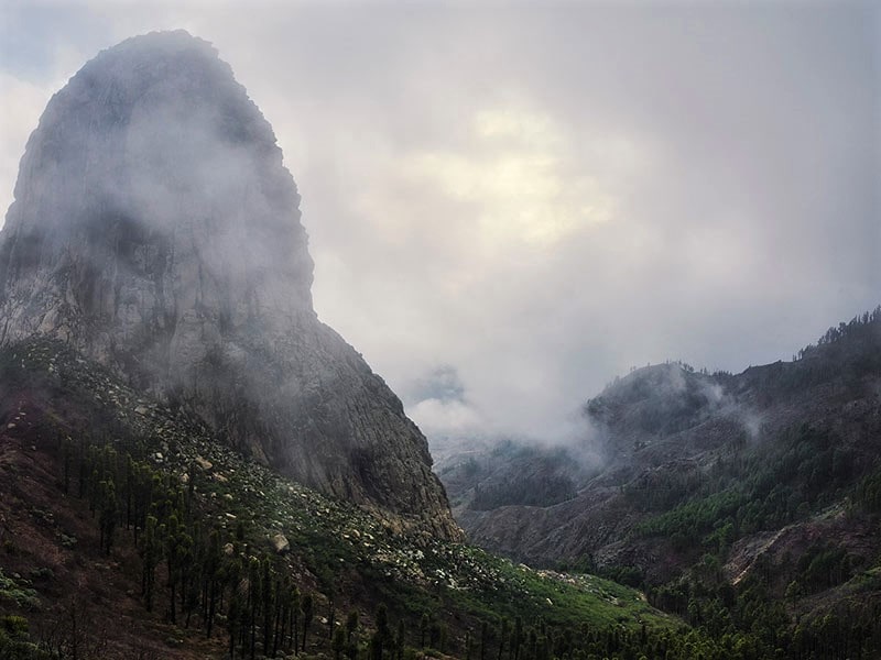 هوای مه آلود در کوهستان جزایر قناری،‌منبع عکس: behance.net، عکاس: Lukas Furlan
