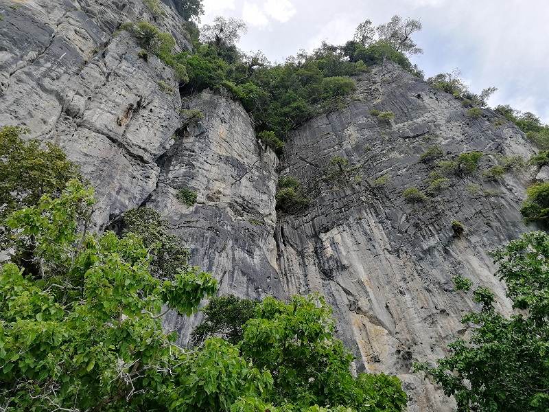 صخره مرتفع در ساحل میمون، جزیره فی فی، تایلند.  منبع عکس: گوگل مپ.  عکاس: Micio82 Arz