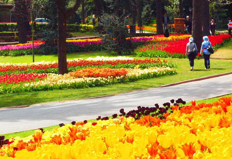 جشنواره گل های لاله در پارک امیرگان استانبول؛ منبع عکس: www.afar.com، عکاس: نامشخص