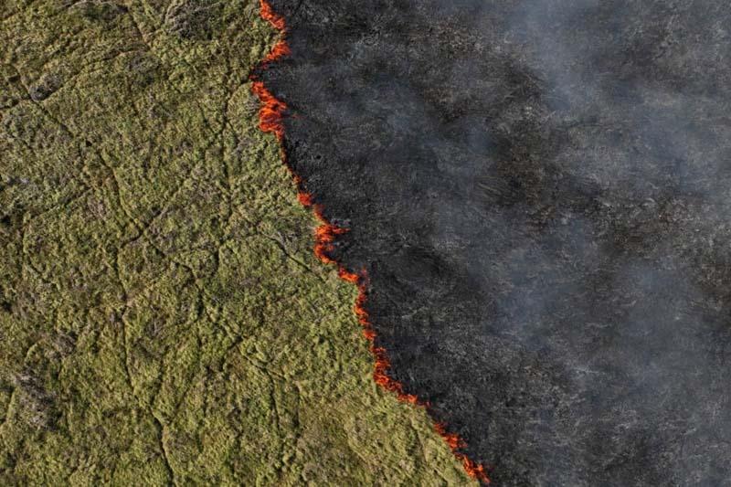 بلند شدن دود از آتش سوزی در پانتانال (Pantanal)، بزرگترین تالاب جهان در برزیل
