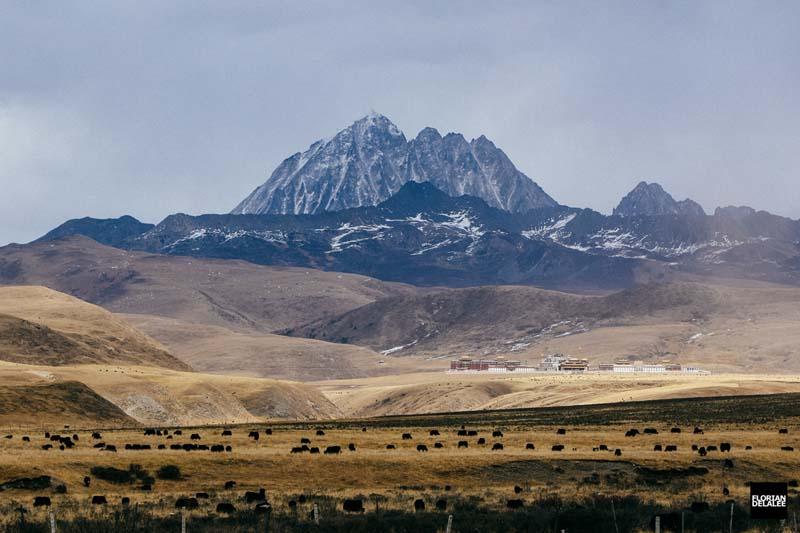 منطقه کوهستانی تبت و سیچوان