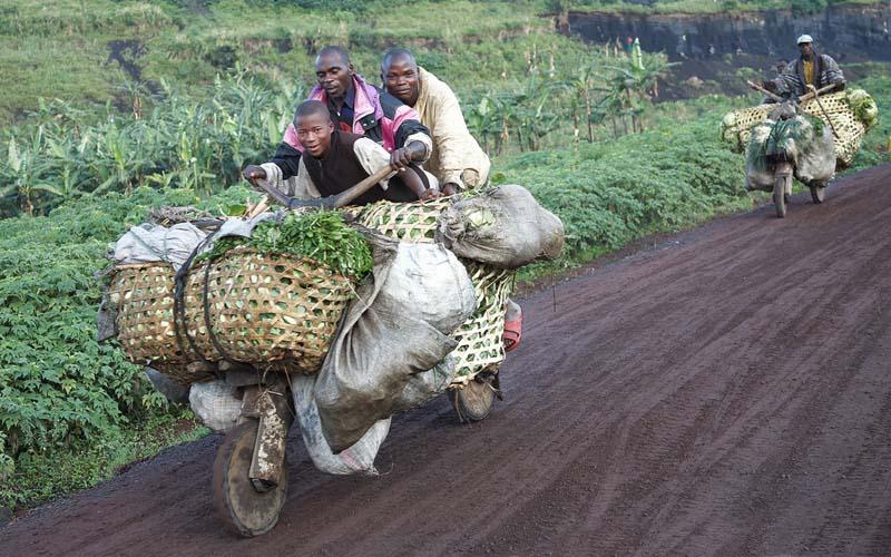 مردان آفریقایی در حال حمل محصولات غذایی با چوکودو