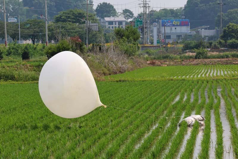 فرود بالون حمل زباله کره شمالی در یک مزرعه برنج در شهر اینچئون کره جنوبی