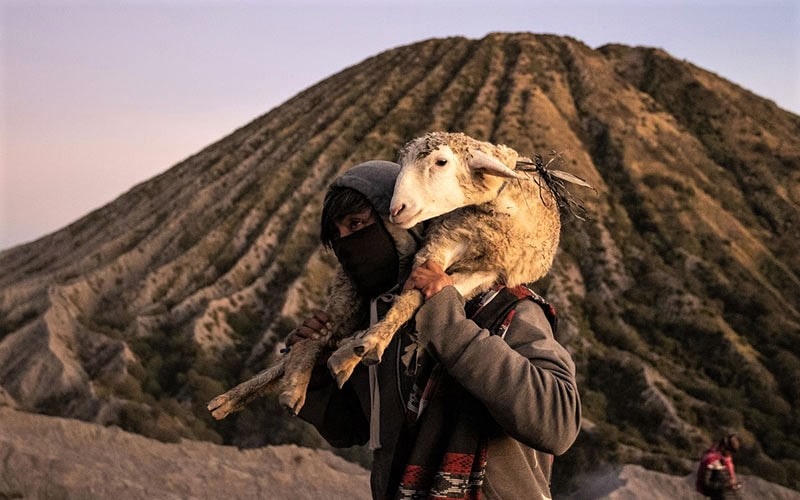 حمل یک بز برای جشن یادنیا کاسادا، منبع عکس: theatlantic.com، عکاس: روبرتوس پودیانتو