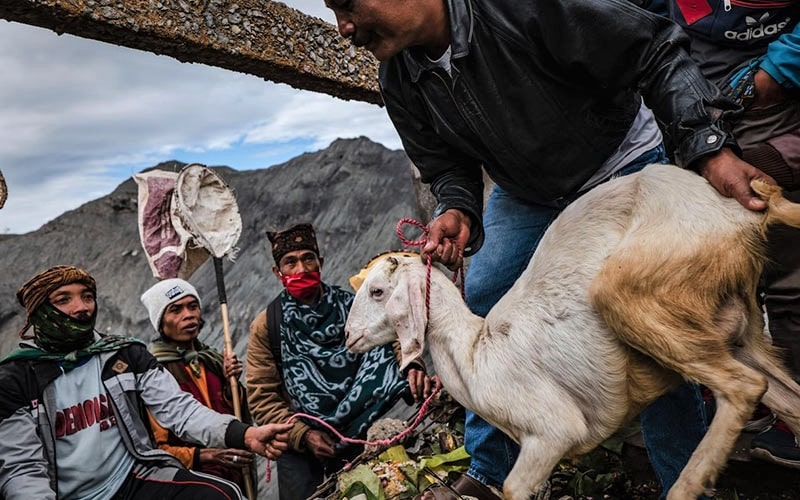 اهدای بز در جشن یادنیا کاسادا منبع عکس: theatlantic.com عکاس: اولت ایفانسستی