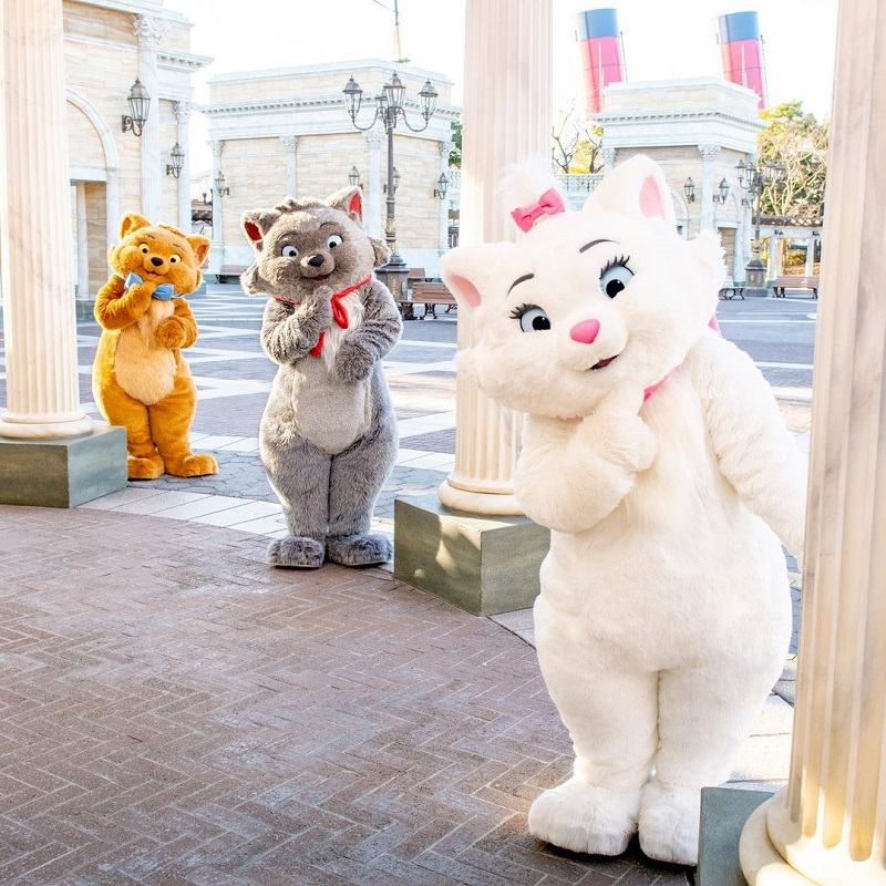 شخصیت های گربه ناز در دیزنی لند توکیو.  منبع عکس: اینستاگرام Tokyodisneyresort_official.  عکاس: ناشناس