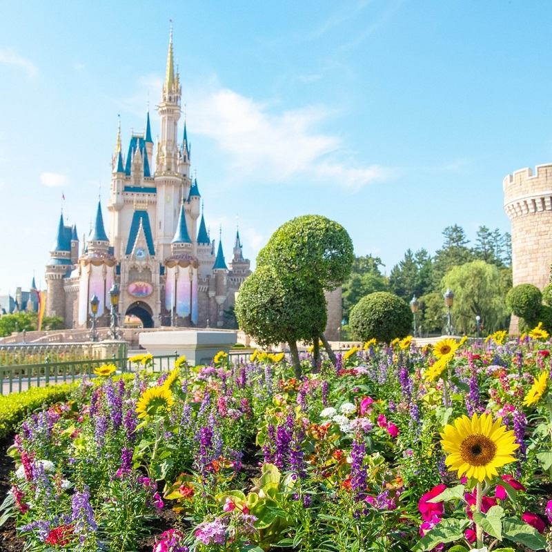 فضای باز مجموعه دیزنی لند توکیو;  منبع عکس: اینستاگرام Tokyodisneyresort_official.  عکاس: ناشناس