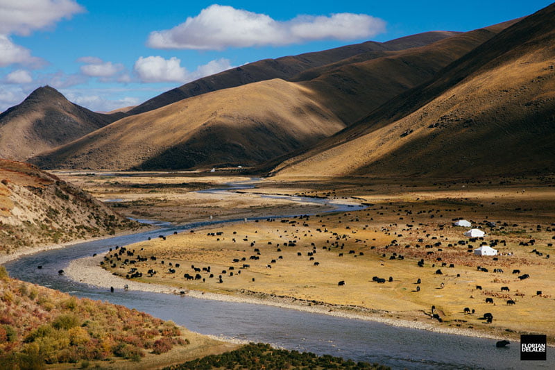 جاده ای کوهستانی در غرب سیچوان