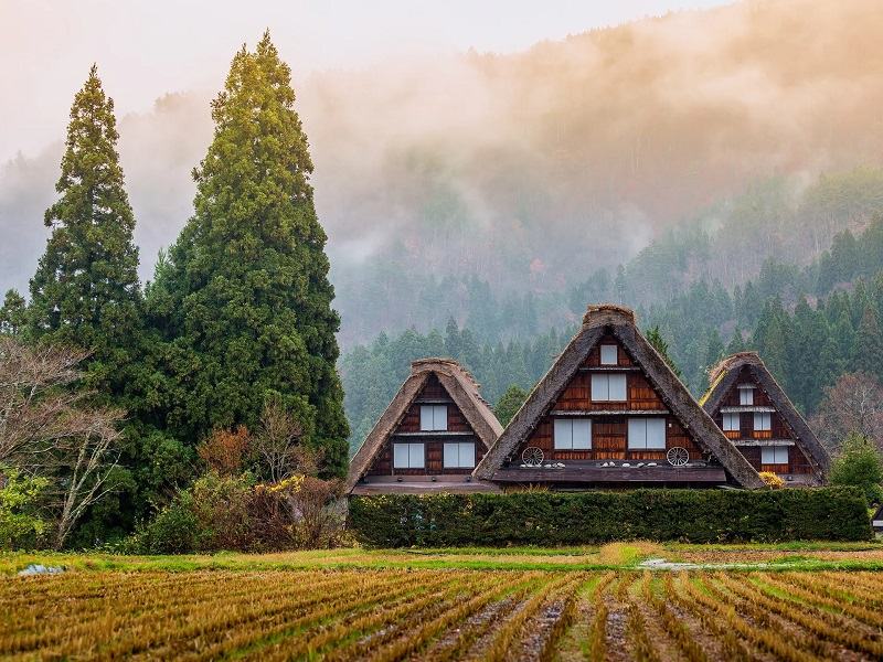 خانه های سنتی روستای شیراکاواگو، ژاپن؛  منبع عکس: وب سایت Cntraveler.com.  عکاس: ناشناس