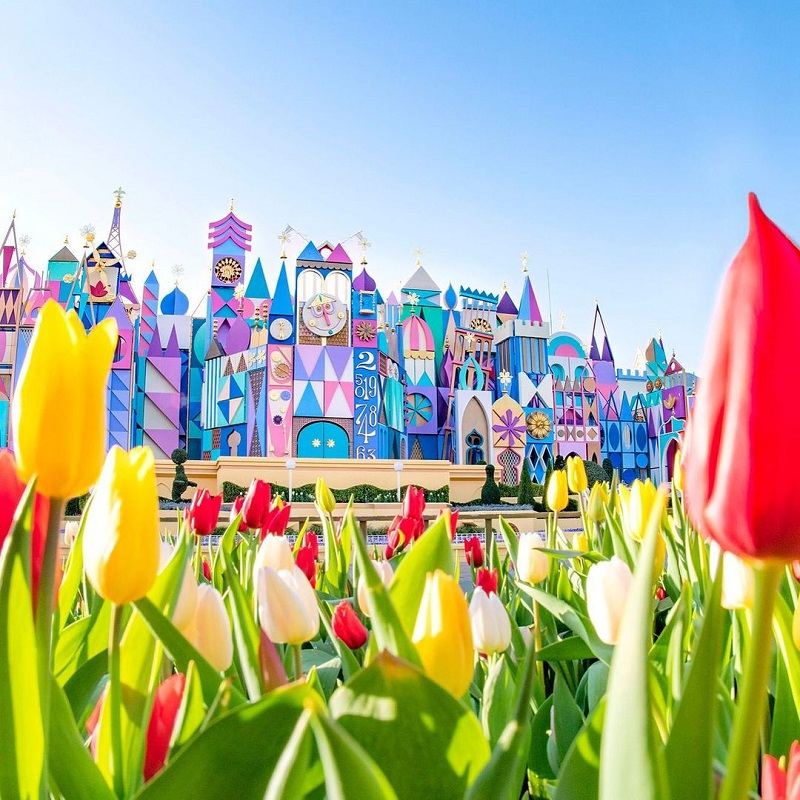 سرزمین فانتزی در دیزنی لند توکیو;  منبع عکس: اینستاگرام Tokyodisneyresort_official.  عکاس: ناشناس