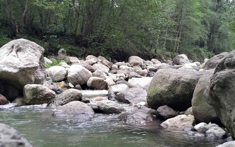 رودخانه جنگل تیلاکنار، منبع عکس: گوگل مپ، عکاس: علی الوندی